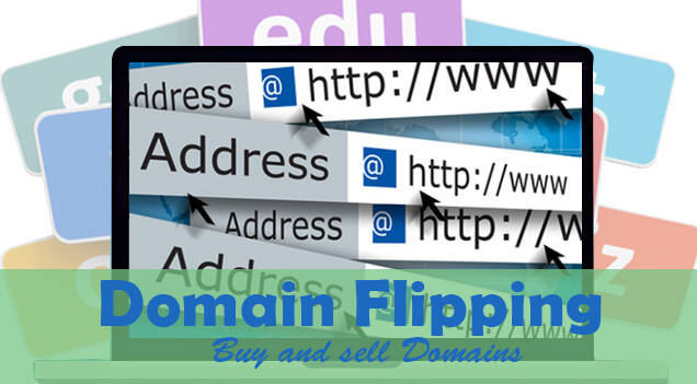 Domain Flipping 